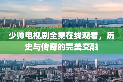 少帅电视剧全集在线观看，历史与传奇的完美交融