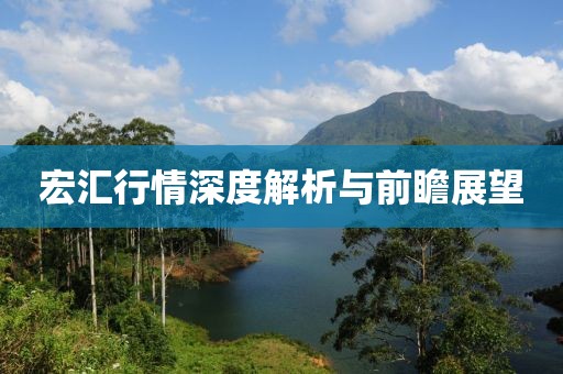 宏汇行情深度解析与前瞻展望