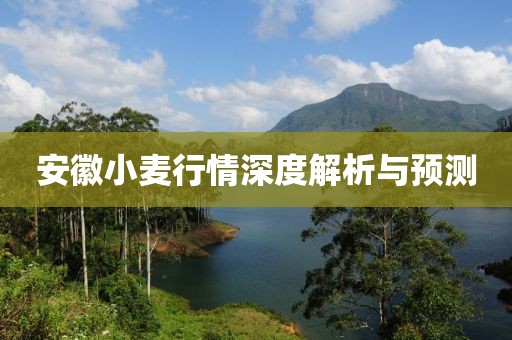 安徽小麦行情深度解析与预测