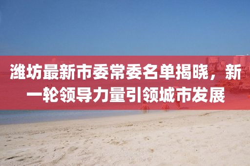 潍坊最新市委常委名单揭晓，新一轮领导力量引领城市发展