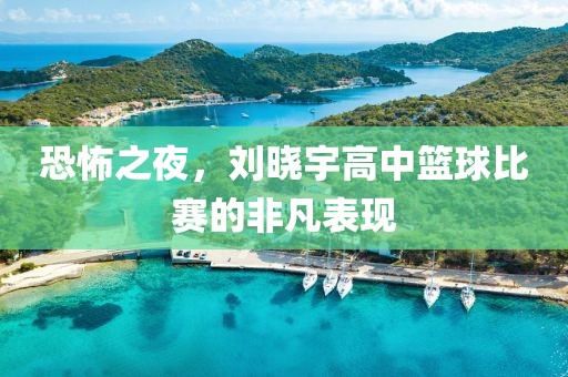 恐怖之夜，刘晓宇高中篮球比赛的非凡表现