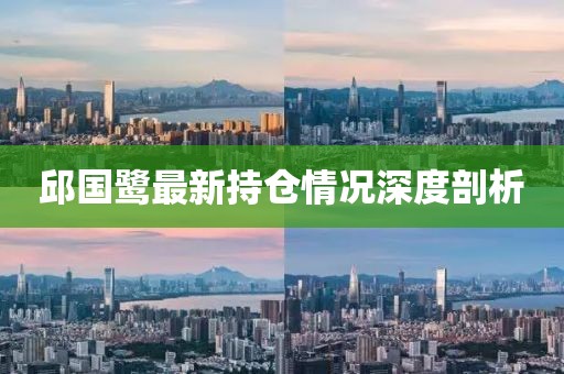 邱国鹭最新持仓情况深度剖析