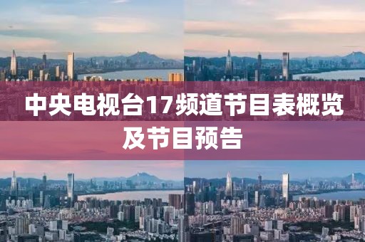 中央电视台17频道节目表概览及节目预告