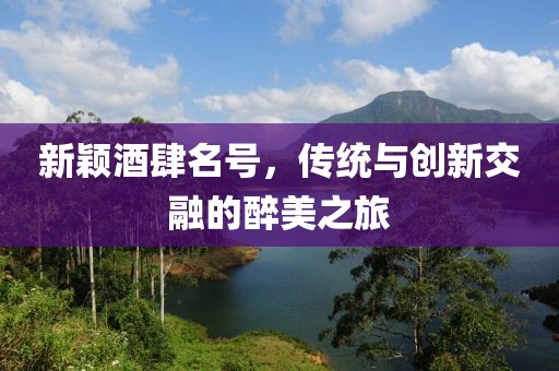新颖酒肆名号，传统与创新交融的醉美之旅