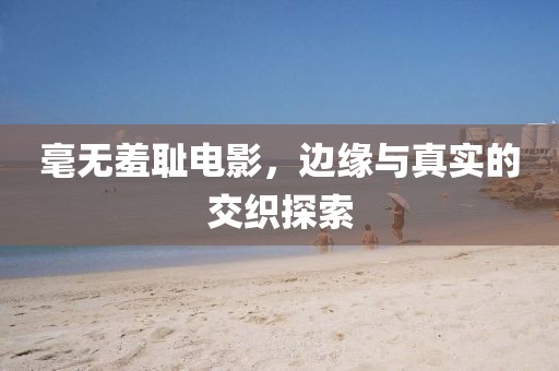 毫无羞耻电影，边缘与真实的交织探索