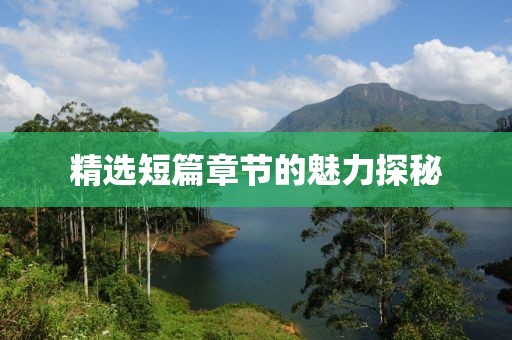 精选短篇章节的魅力探秘