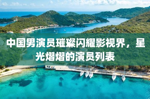 中国男演员璀璨闪耀影视界，星光熠熠的演员列表