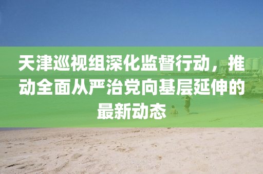 天津巡视组深化监督行动，推动全面从严治党向基层延伸的最新动态