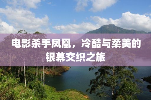 电影杀手凤凰，冷酷与柔美的银幕交织之旅