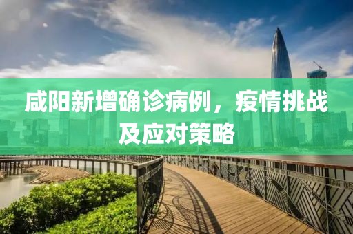 咸阳新增确诊病例，疫情挑战及应对策略