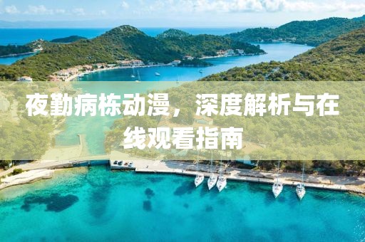 夜勤病栋动漫，深度解析与在线观看指南