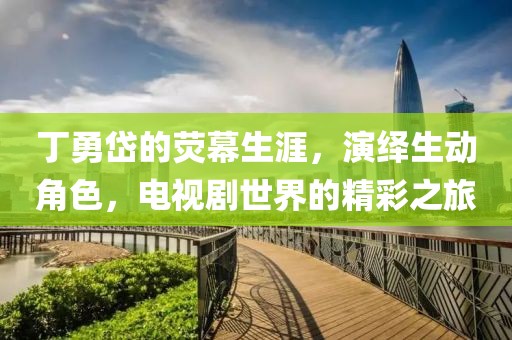 丁勇岱的荧幕生涯，演绎生动角色，电视剧世界的精彩之旅