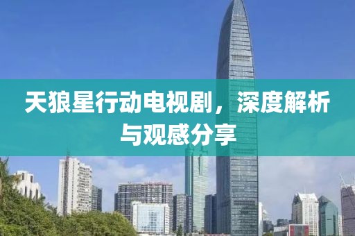 天狼星行动电视剧，深度解析与观感分享