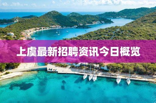 上虞最新招聘资讯今日概览