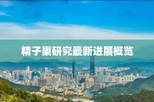 精子巢研究最新进展概览