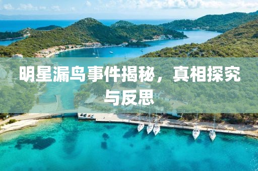 明星漏鸟事件揭秘，真相探究与反思
