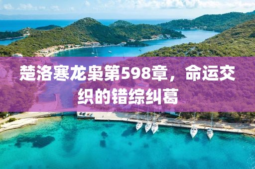 楚洛寒龙枭第598章，命运交织的错综纠葛