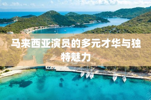 马来西亚演员的多元才华与独特魅力