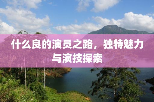什么良的演员之路，独特魅力与演技探索