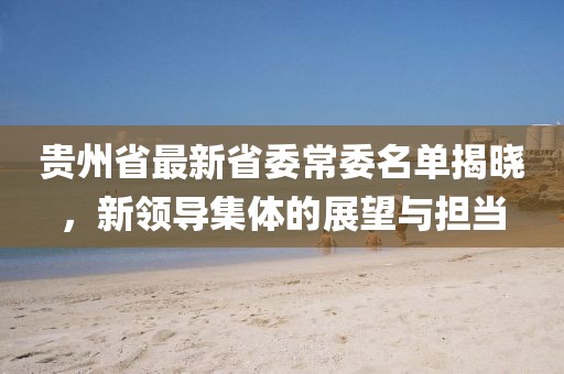 贵州省最新省委常委名单揭晓，新领导集体的展望与担当