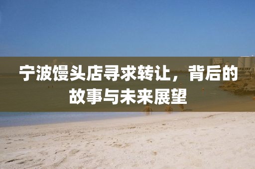 宁波馒头店寻求转让，背后的故事与未来展望
