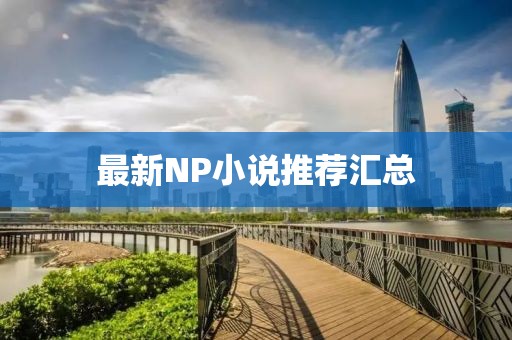 最新NP小说推荐汇总