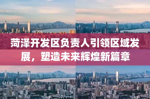菏泽开发区负责人引领区域发展，塑造未来辉煌新篇章