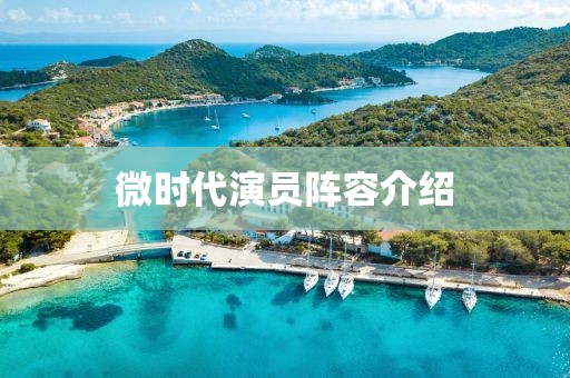 微时代演员阵容介绍