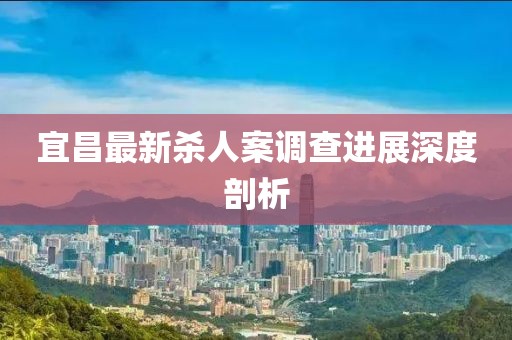 宜昌最新杀人案调查进展深度剖析