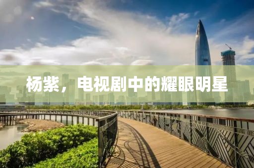 杨紫，电视剧中的耀眼明星