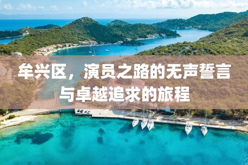 牟兴区，演员之路的无声誓言与卓越追求的旅程