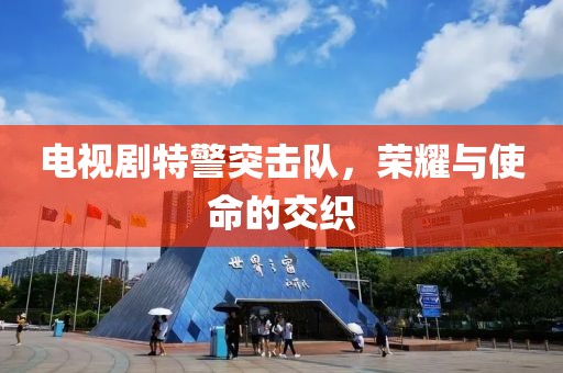 电视剧特警突击队，荣耀与使命的交织