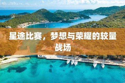 星途比赛，梦想与荣耀的较量战场