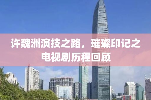 许魏洲演技之路，璀璨印记之电视剧历程回顾
