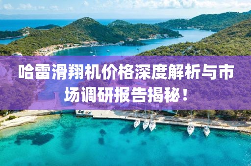 哈雷滑翔机价格深度解析与市场调研报告揭秘！