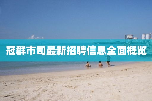 冠群市司最新招聘信息全面概览