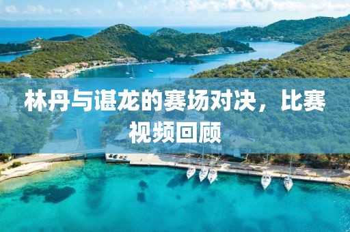 林丹与谌龙的赛场对决，比赛视频回顾