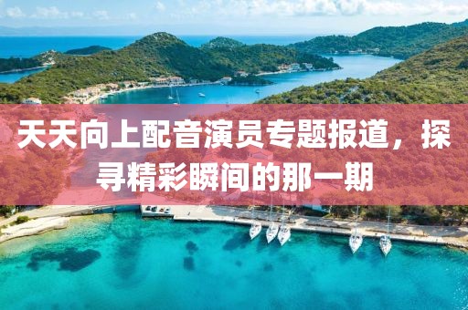 天天向上配音演员专题报道，探寻精彩瞬间的那一期