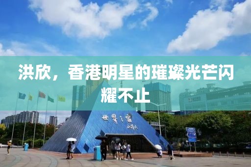 洪欣，香港明星的璀璨光芒闪耀不止