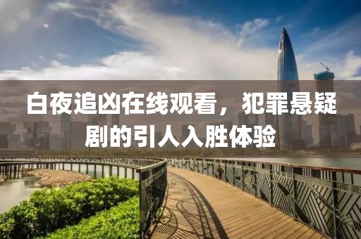 白夜追凶在线观看，犯罪悬疑剧的引人入胜体验