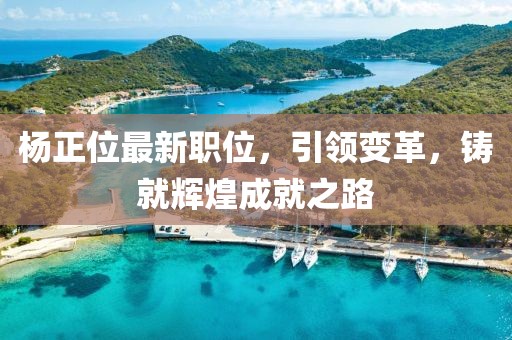 杨正位最新职位，引领变革，铸就辉煌成就之路