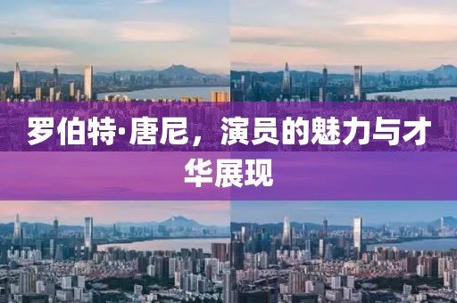 罗伯特·唐尼，演员的魅力与才华展现