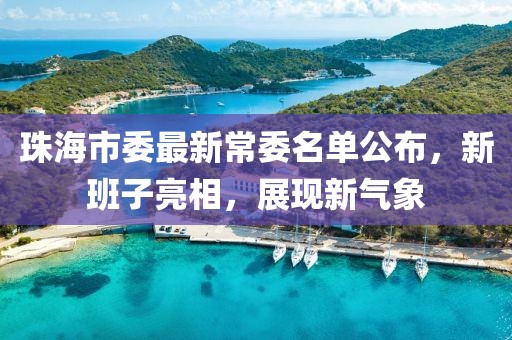珠海市委最新常委名单公布，新班子亮相，展现新气象