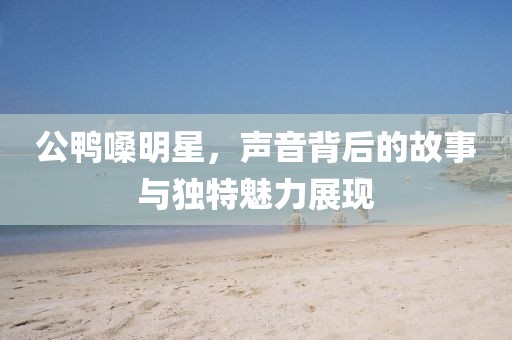 公鸭嗓明星，声音背后的故事与独特魅力展现