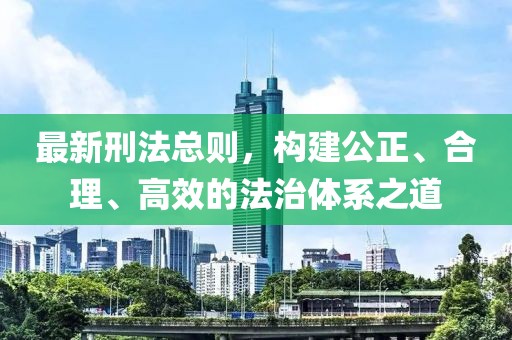 最新刑法总则，构建公正、合理、高效的法治体系之道