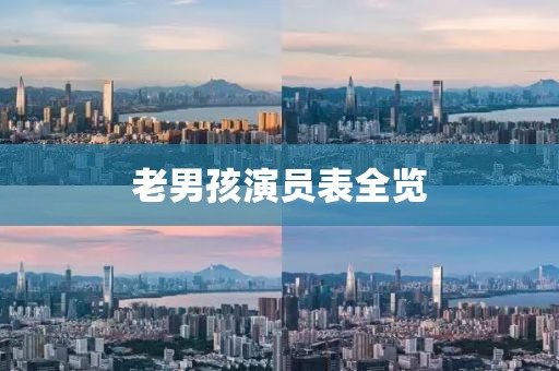 老男孩演员表全览
