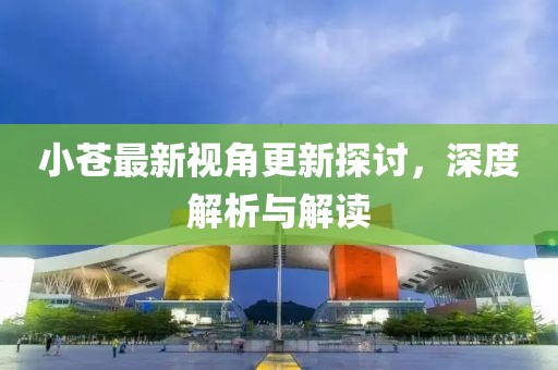 小苍最新视角更新探讨，深度解析与解读