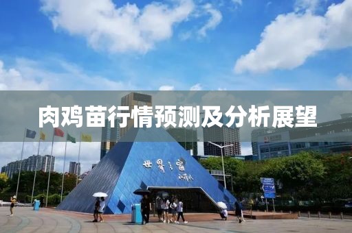 肉鸡苗行情预测及分析展望