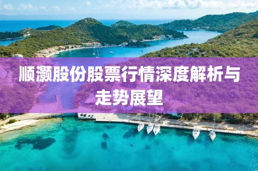 顺灏股份股票行情深度解析与走势展望