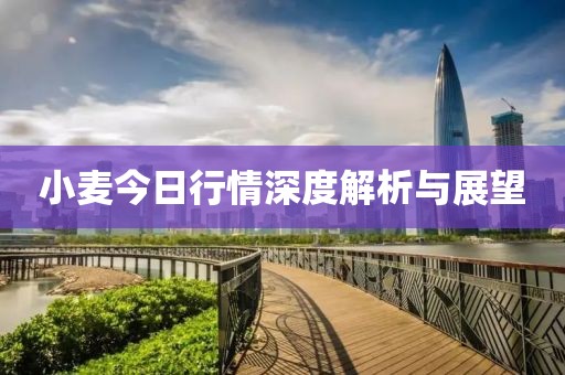 小麦今日行情深度解析与展望